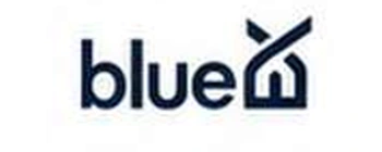 blueex logo